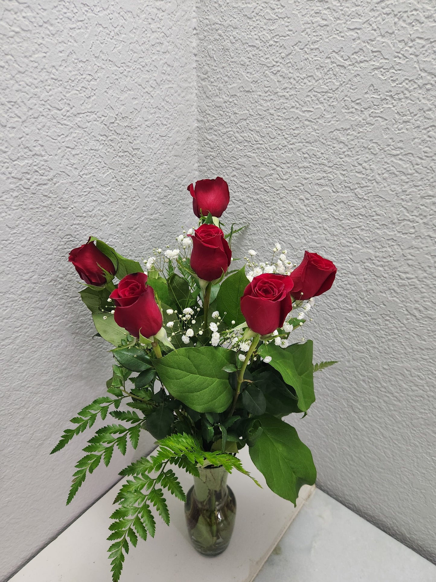 Premium Dozen(s) Red Roses